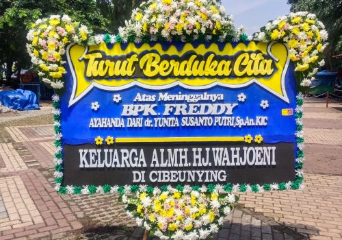 WhatsApp Image 2025-04-14 at 11.29.19 (1)